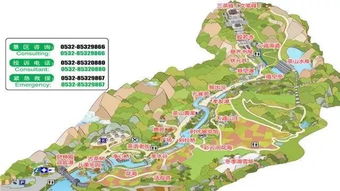 青島茶山景區 借力 旅游 打造生態養生目的地