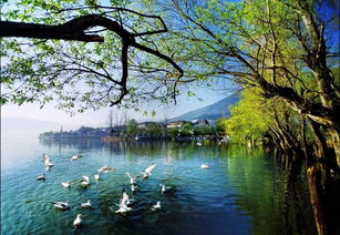 引以為鑒，刀刃向內(nèi)——邛瀘景區(qū)質(zhì)量提升會后管理優(yōu)化紀實