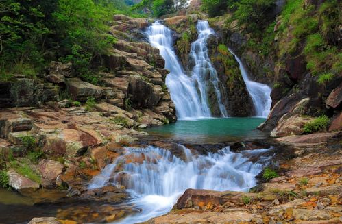 探索工業(yè)魅力，領(lǐng)略自然風(fēng)光——東莞清溪工業(yè)旅游新篇章